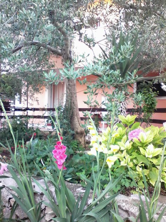 Apartments Vendi Šibenik Esterno foto